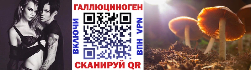 Псилоцибиновые грибы GOLDEN TEACHER  Лесосибирск 