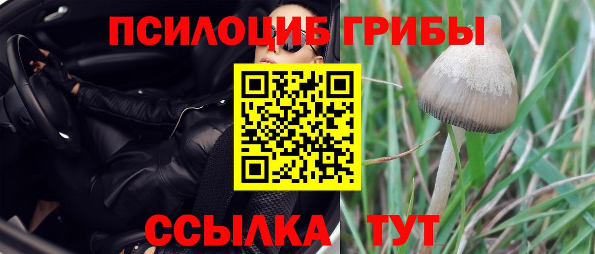 Псилоцибиновые грибы мухоморы  Галлюциногенные грибы Magic Shrooms  Вход с VPN  Лесосибирск 